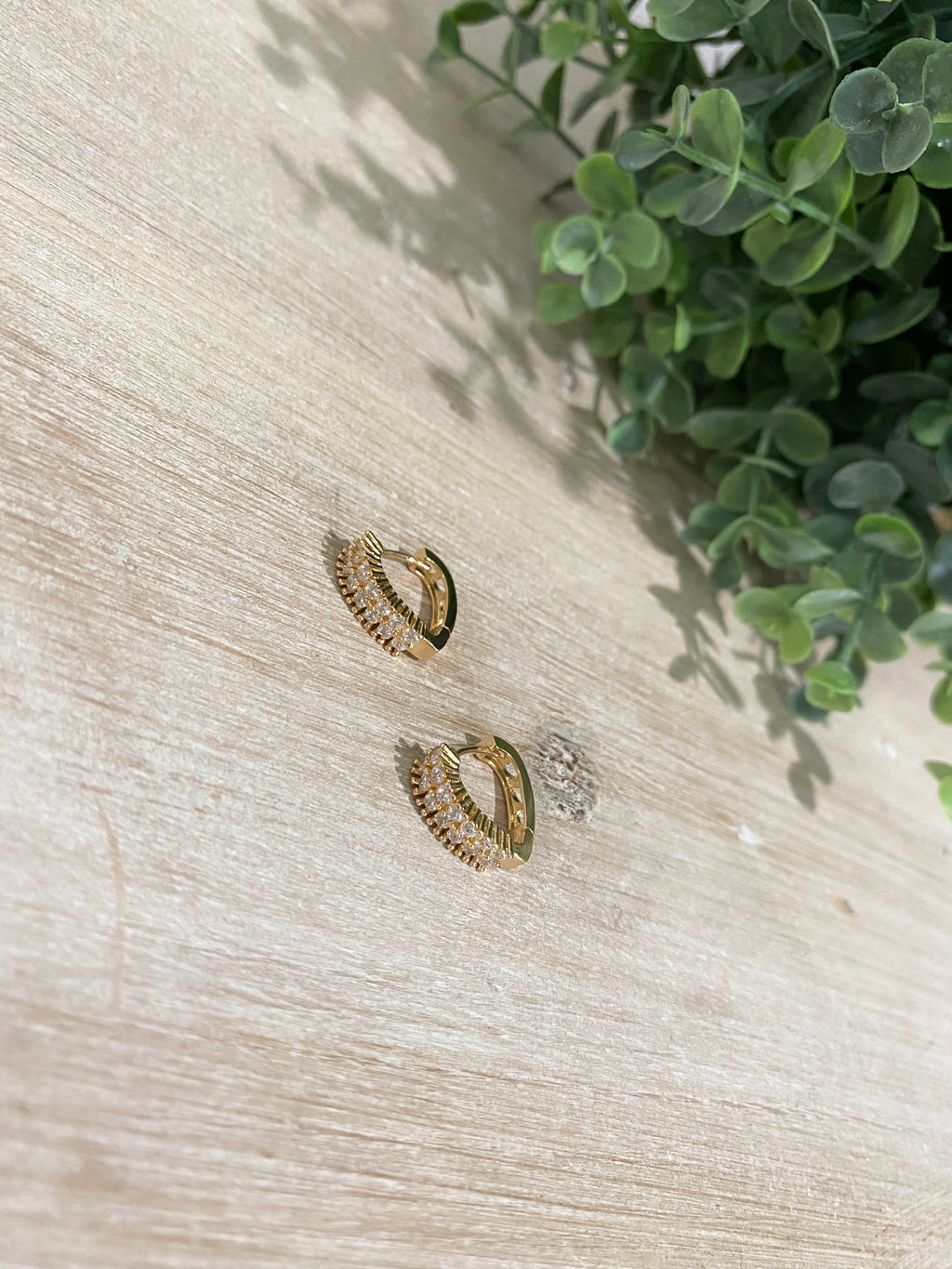 SIA Earrings
